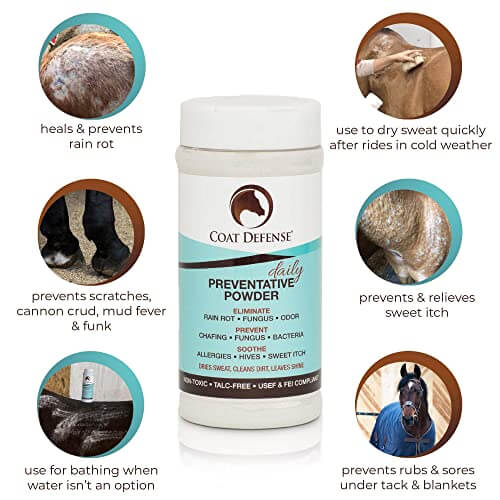 Daily Preventative Powder for Dogs  Stink & Itch Relief Dry Shampoo - Coat  Defense